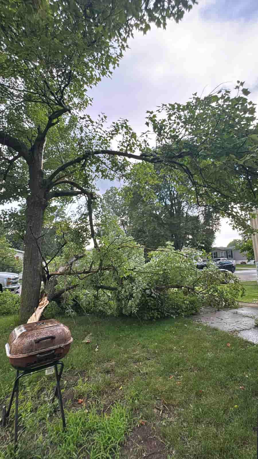 Emergency branches down. Needing a professional tree trimming and removal